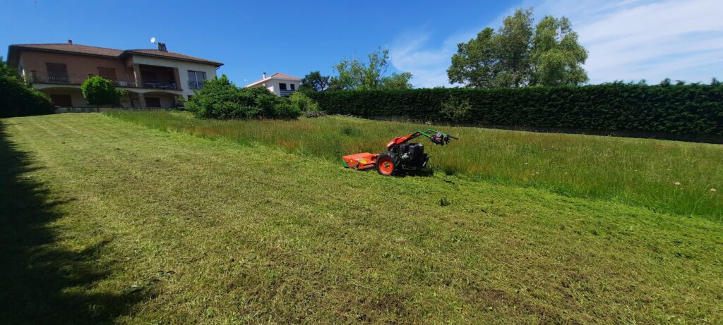 Crédit d'impôt jardinage : bénéficier de l'avance immédiate