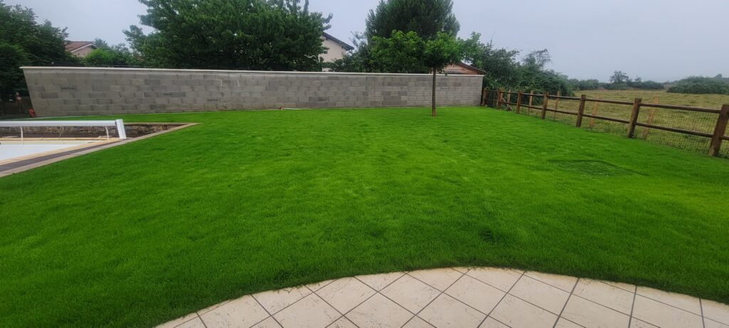 Robot tondeuse : quelle solution pour ma pelouse ?