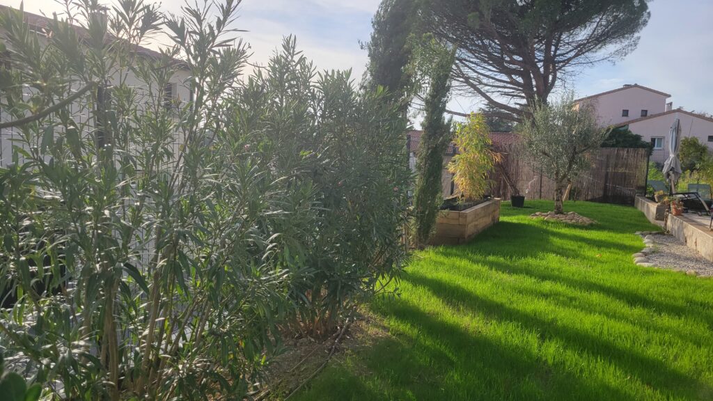 Aménager un petit jardin : 5 étapes d'un paysagiste expert - Galeo